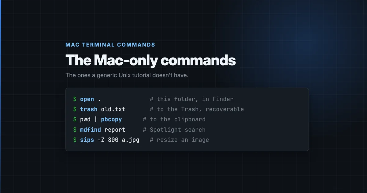Mac Terminal Commands for Beginners: the Mac-Only Ones Worth Learning ...